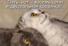 Так себе картинки # 03.04.2021