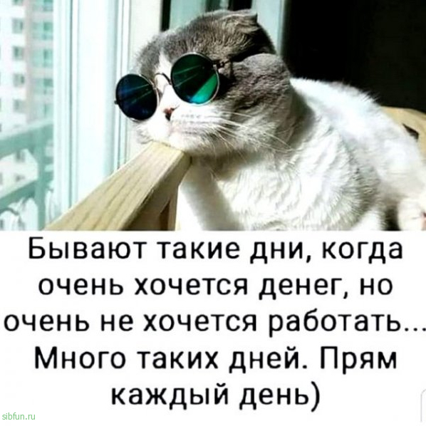 Всякие картинки