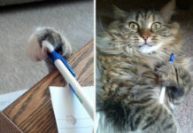 Так себе картинки # 20.04.2021