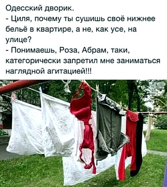 Всякие картинки