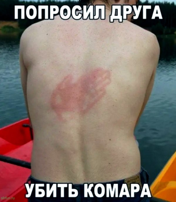 Всякие картинки