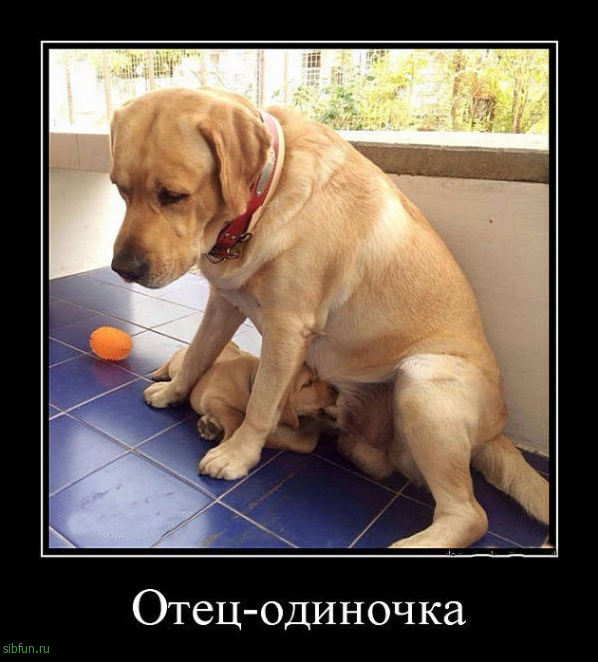 Всякие картинки