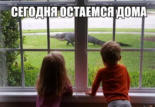 Так себе картинки # 29.04.2021