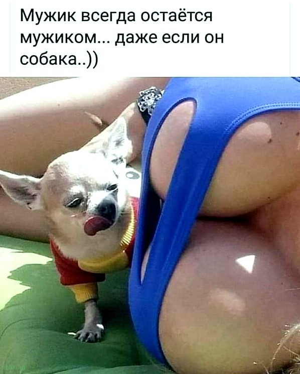 Всякие картинки