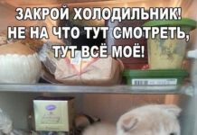 Так себе картинки # 25.04.2021