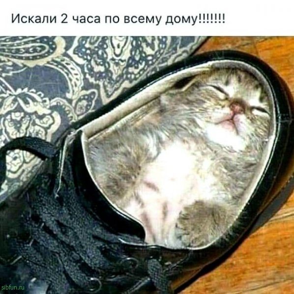 Всякие картинки