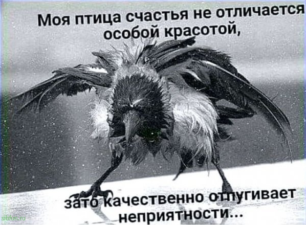 Всякие картинки