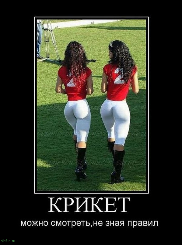 Всякие картинки