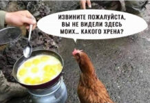 Всякие картинки # 11.04.2021