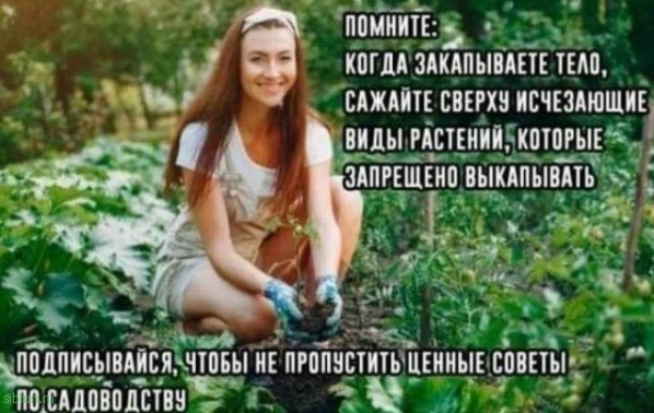 Всякие картинки