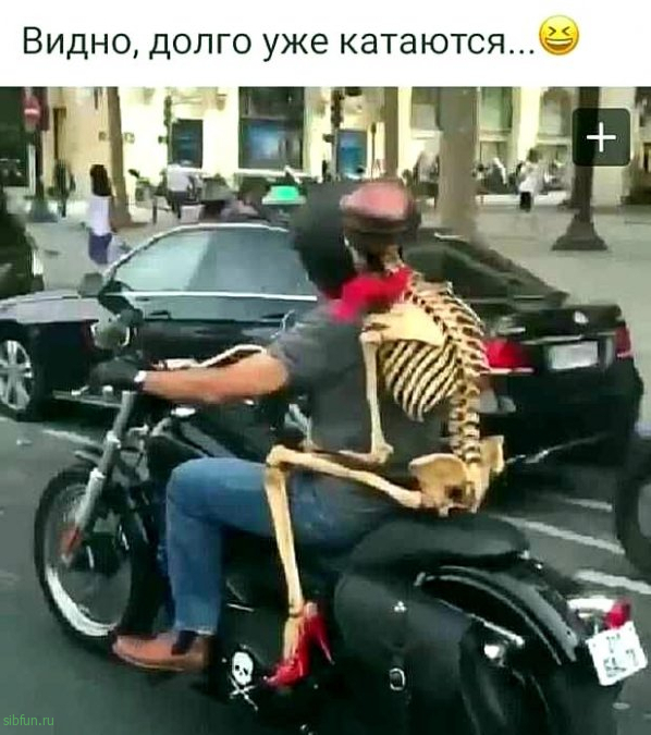 Всякие картинки