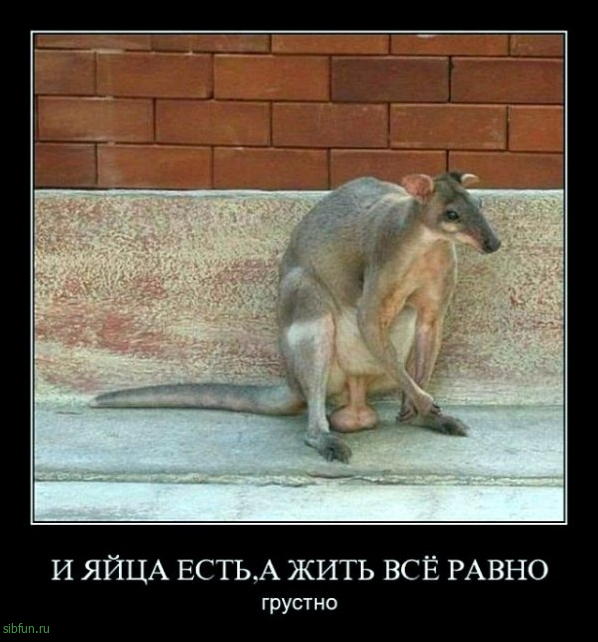 Всякие картинки