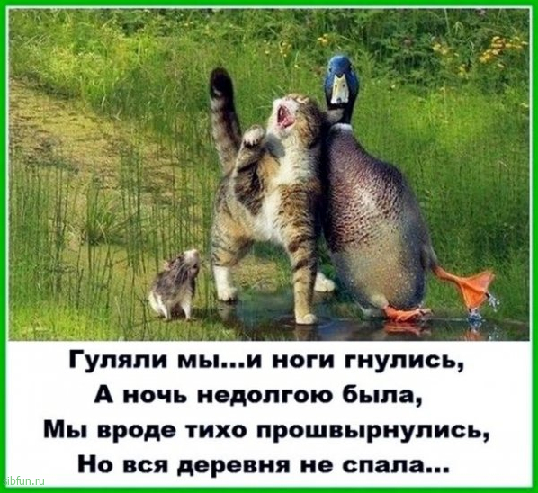 Всякие картинки