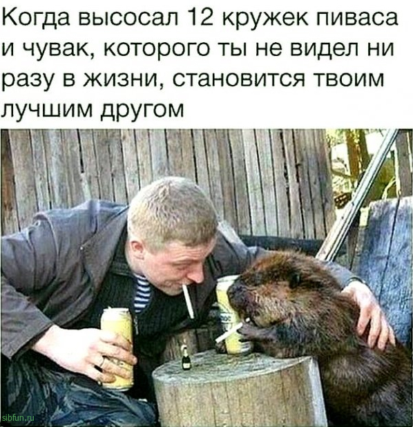 Всякие картинки