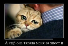 Так себе картинки # 17.04.2021