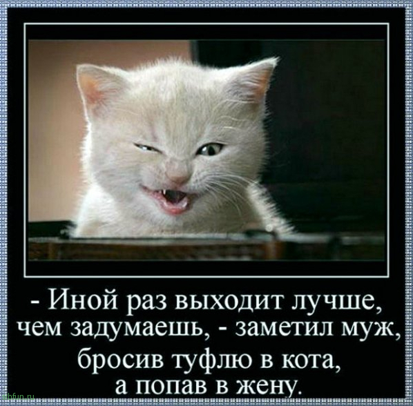 Всякие картинки