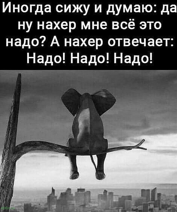 Всякие картинки
