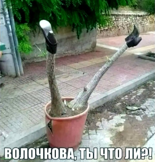 Всякие картинки