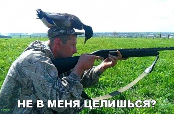 Всякие картинки