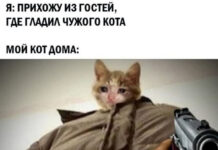 Баянисто-небаянистый юмор # 11.04.2021