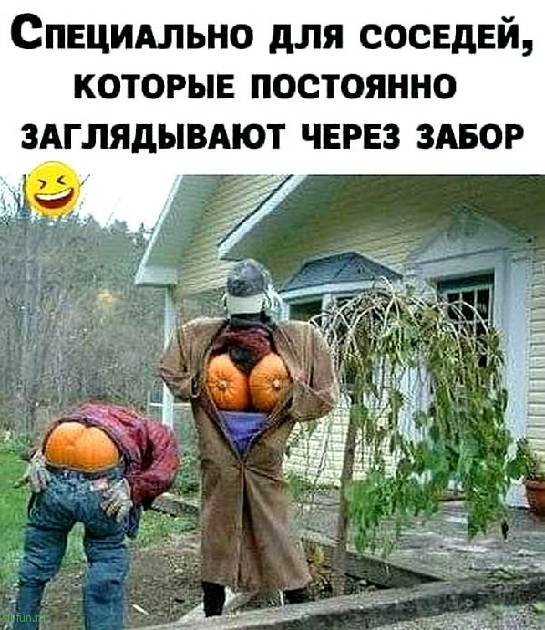 Всякие картинки