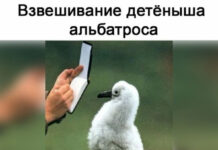 Так себе картинки # 11.05.2021