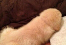 Так себе картинки # 21.05.2021