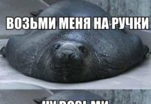 Так себе картинки # 23.05.2021