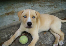 Так себе картинки # 25.05.2021