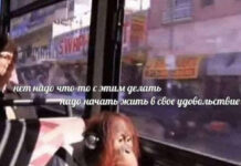 Нестандартный юмор :) # 04.05.2021