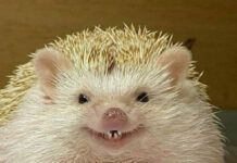 Прикольные и просто красивые картинки # 31.05.2021