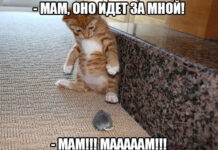 Так себе картинки # 06.05.2021