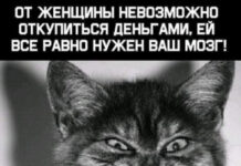 Немного картинок разной степени новизны и адекватности # 20.06.2021