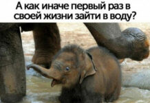 Прикольные и просто красивые картинки # 03.06.2021