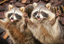 Прикольные и просто красивые картинки # 01.06.2021