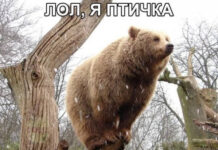 Так себе картинки # 14.06.2021