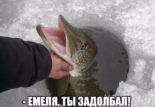 Так себе картинки # 26.06.2021