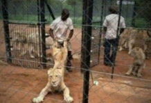 Нестандартный юмор :) # 19.06.2021