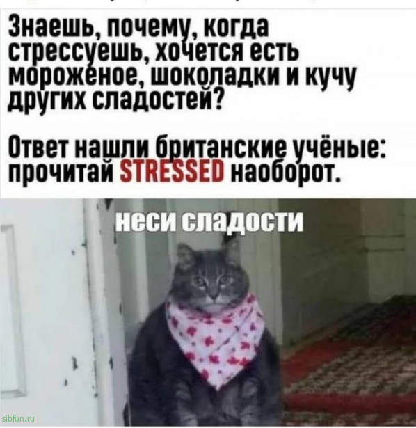 Всяческие картинки