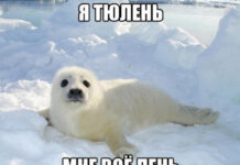 Так себе картинки # 27.06.2021