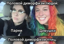 Нестандартный юмор :) # 29.07.2021