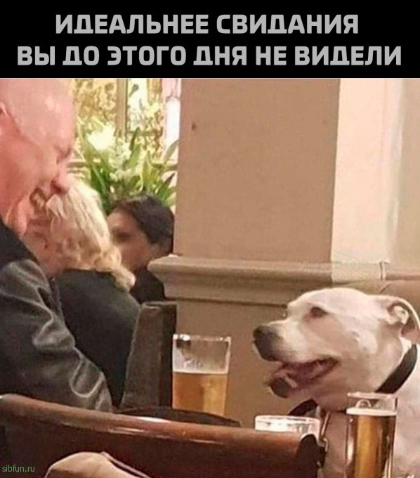 Нестандартный юмор :)