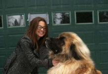 Так себе картинки # 08.07.2021