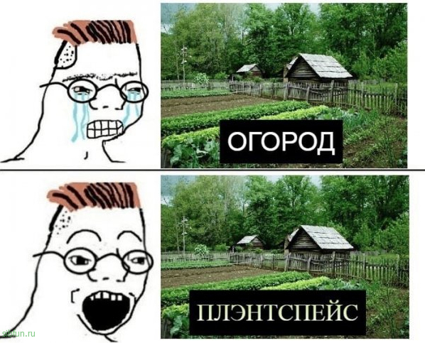 Нестандартный юмор :)