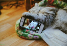 Так себе картинки # 29.07.2021