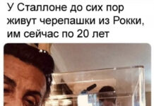 Всякие разные картинки # 17.07.2021