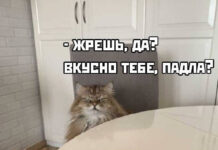 Так себе картинки # 31.07.2021