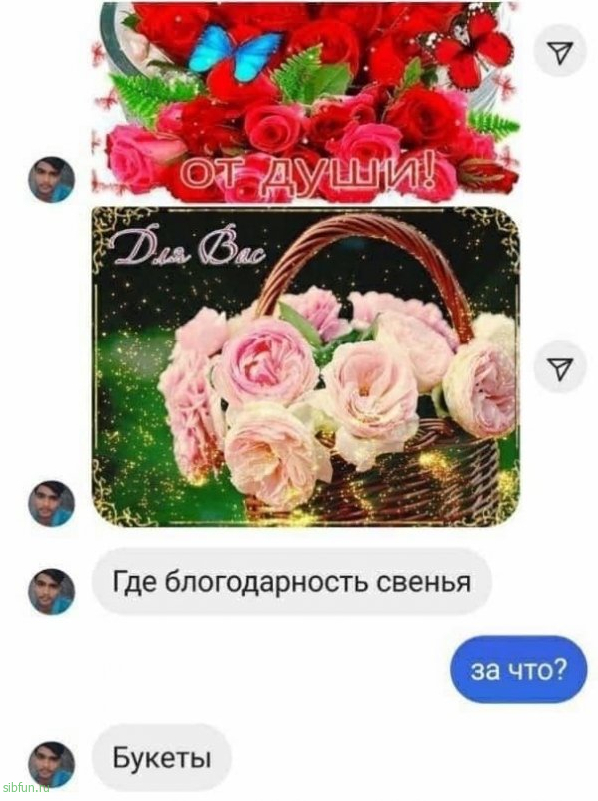 Нестандартный юмор :)