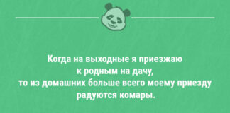 Анекдоты для настроения — 12.07.2021