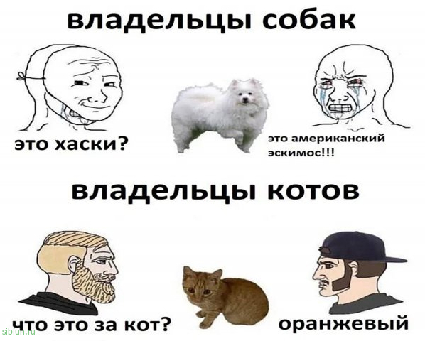 Нестандартный юмор :)